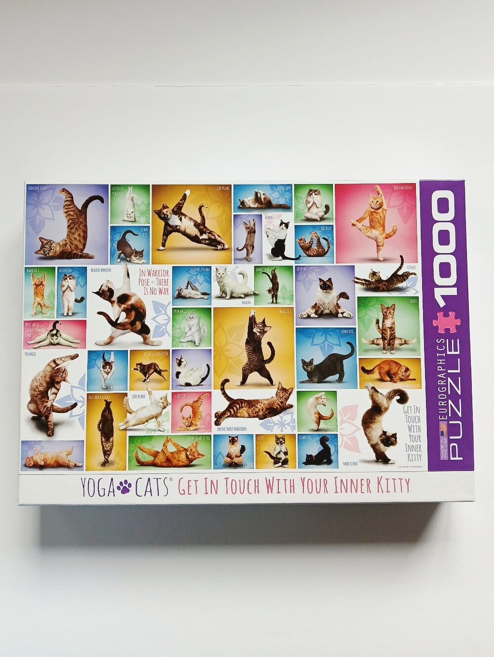 Yoga Cats 1000-piece puzzle by Eurographics